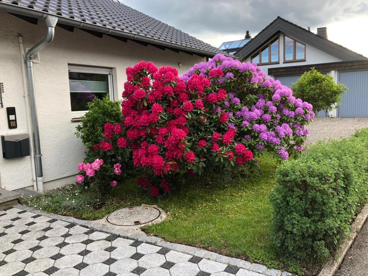Schwarzwaldhirsch Lejlighed Unterkirnach Eksteriør billede